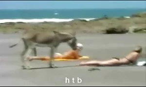 Tricky google porn arab plan je uspio