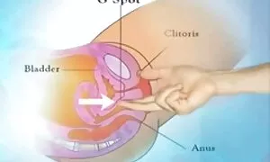 Dvoje mladih lezbijki jebe se pred kamerom hamster sex arab svojim jezicima i debelim dildom